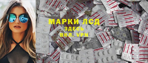гашик Алексин