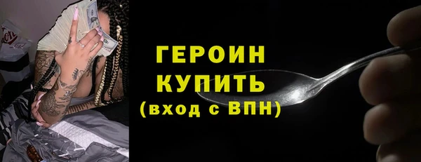 гашик Алексин