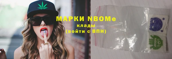 гашик Алексин
