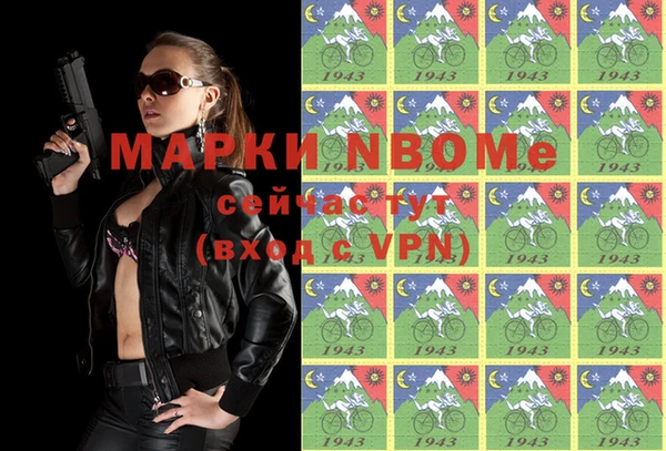 гашик Алексин