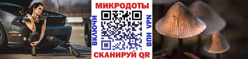 Галлюциногенные грибы Magic Shrooms  как найти закладки  Зуевка 